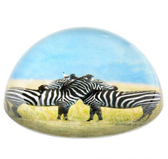 80 MM DOME PAPERWEIGHT 2 ZEBRAS LLB kids toys