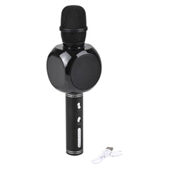 Wireless Light-Up Karaoke Mic LLB Light-up Toys