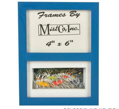 4"X6" TROPICAL FISH FRAME LLB kids toys