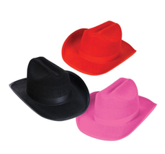 CHILD SIZE FELT COWBOY HAT