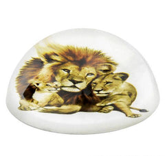 80 MM DOME PAPERWEIGHT LION LIONESS CUB LLB kids toys