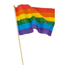 12" x 18" RAINBOW FLAG LLB kids toys