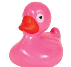 FLOATING PLASTIC DUCKS LLB kids toys