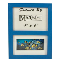 4"X6" SARGEANT MAJOR FISH FRAME LLB kids toys