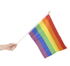 12" x 18" RAINBOW FLAG LLB kids toys