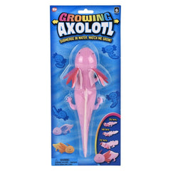 9" Growing Axolotl - LLB Toys