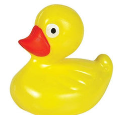 FLOATING PLASTIC DUCKS LLB kids toys