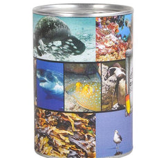 TIN CAN BANK AQUATIC LLB kids toys