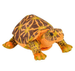 11" BOX TURTLE plush LLB Plush Toys