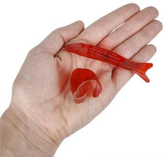 FORTUNE TELLER FISH LLB kids toys