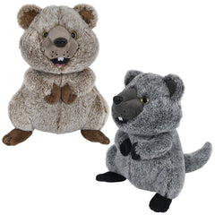 11" Quokka- LLB Toys