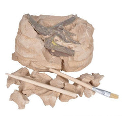 6.5" TRICERATOPS SKULL EXCAVATION LLB kids toys