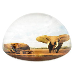 80 MM DOME PAPERWEIGHT ELEPHANT FAMILY LLB kids toys