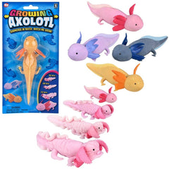 6" Growing Axolotl - LLB Toys