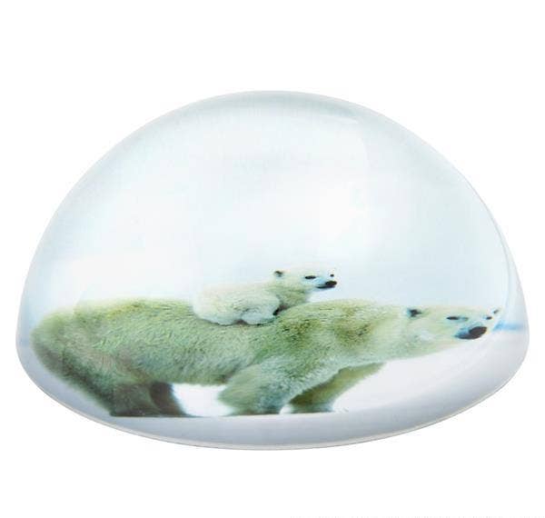 80 MM DOME PAPERWEIGHT POLAR BEAR LLB kids toys