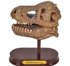 6.5" T-REX SKULL EXCAVATION LLB kids toys